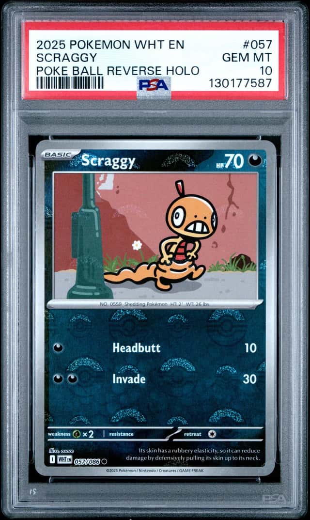 Scraggy