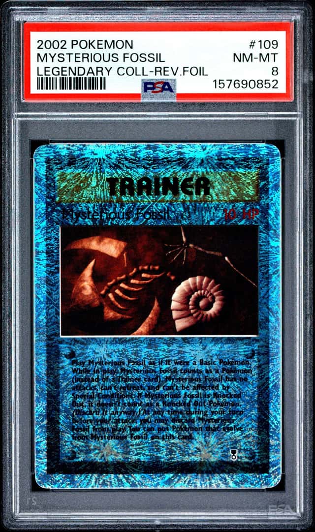 Mysterious Fossil