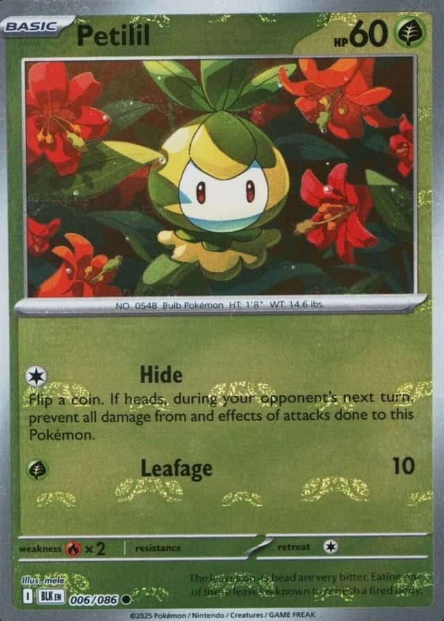 Master Ball · Reverse Holo