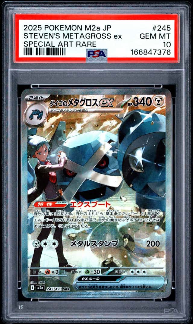 STEVEN'S METAGROSS ex
