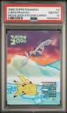 Lugia/pikachu