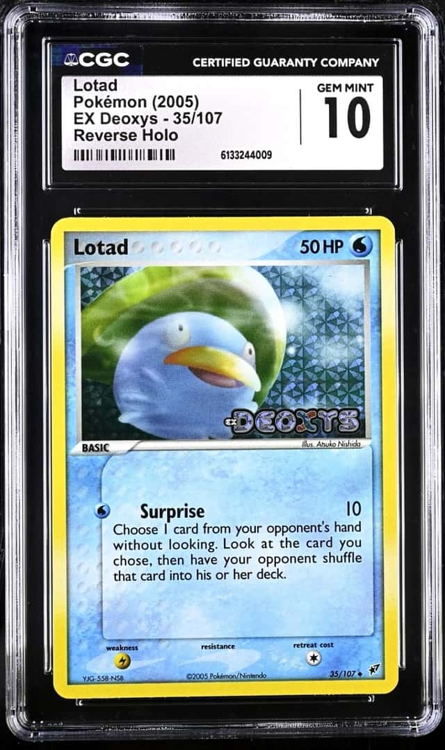 Lotad