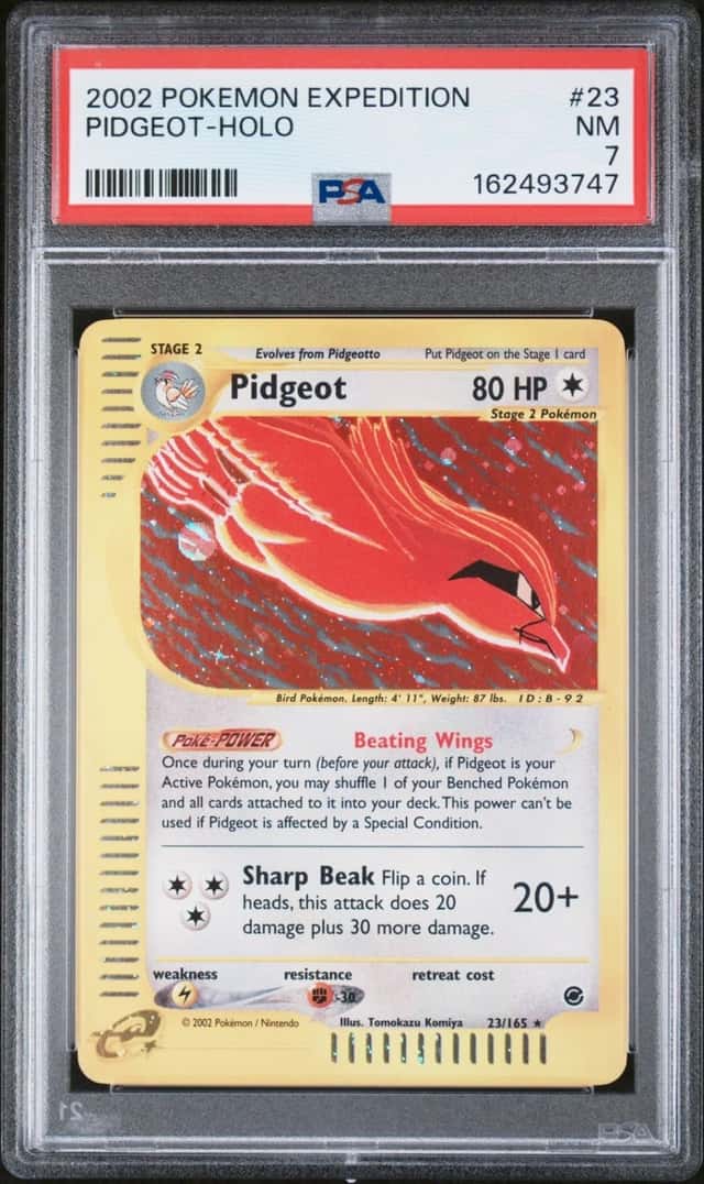 Pidgeot