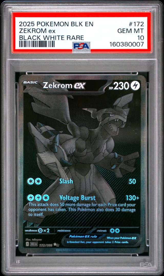 ZEKROM ex