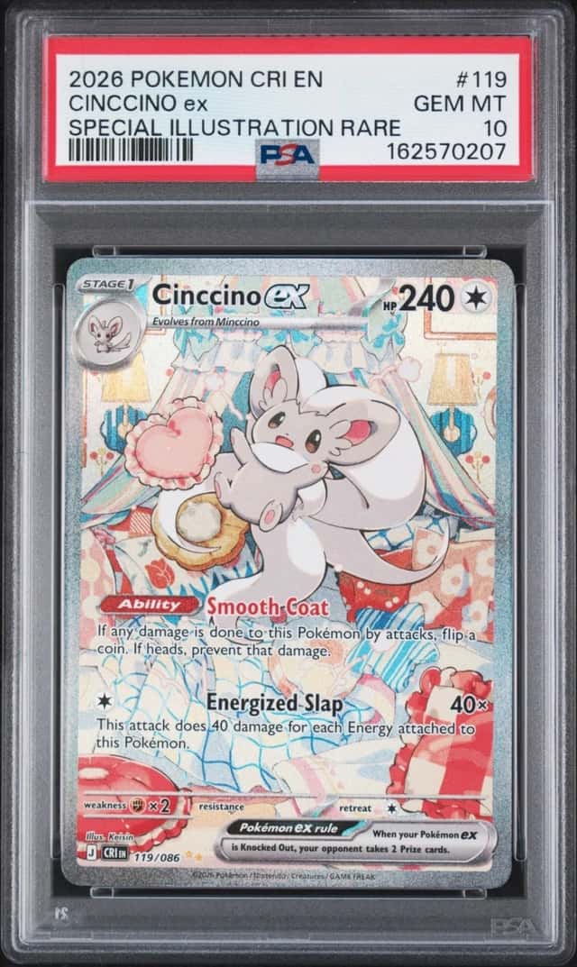 CINCCINO ex
