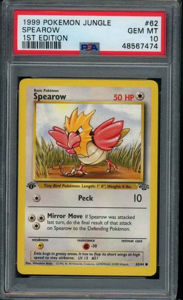 Spearow