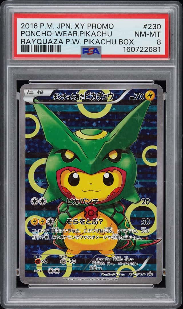 Poncho-Wearing Pikachu