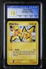 Pichu Bros