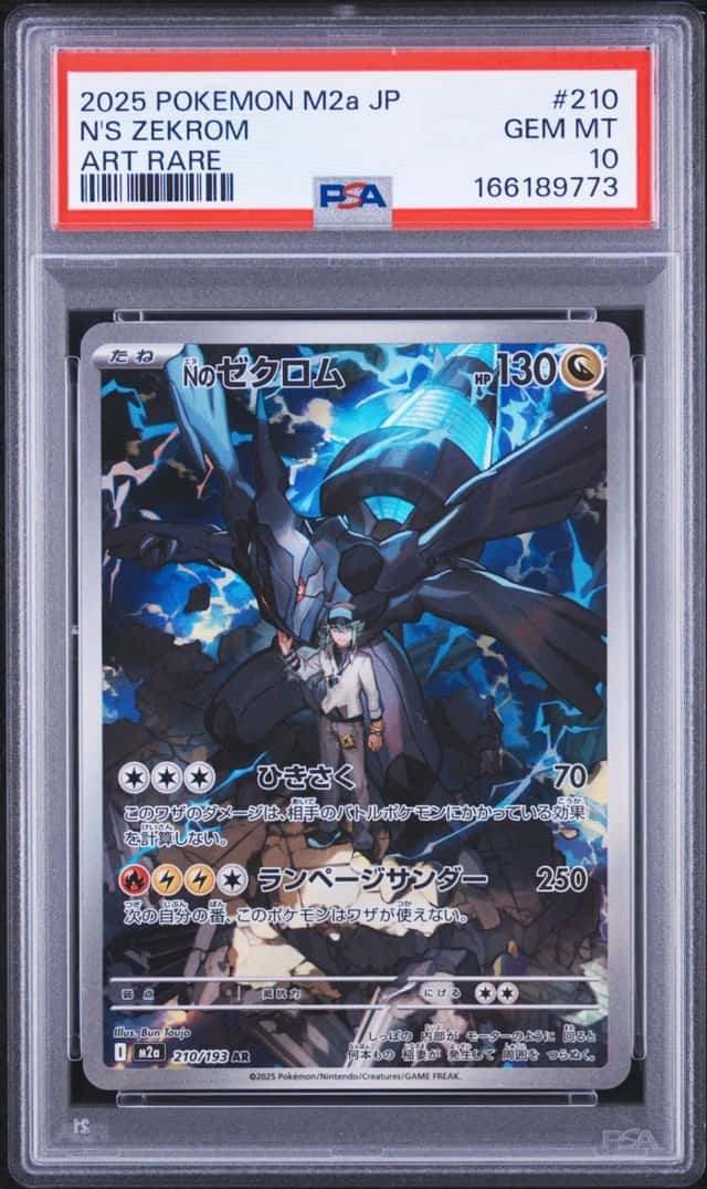 N's Zekrom