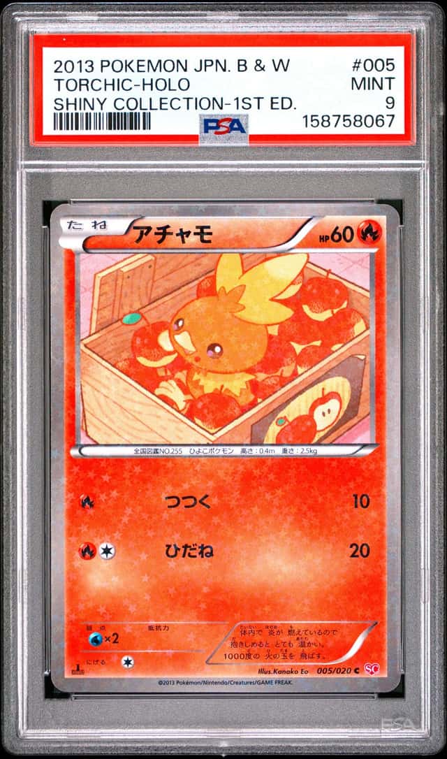 Torchic