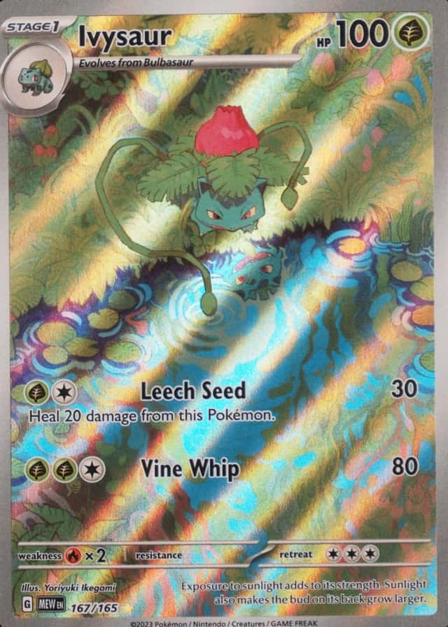 Base / no variant
