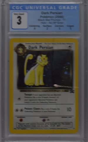 Dark Persian