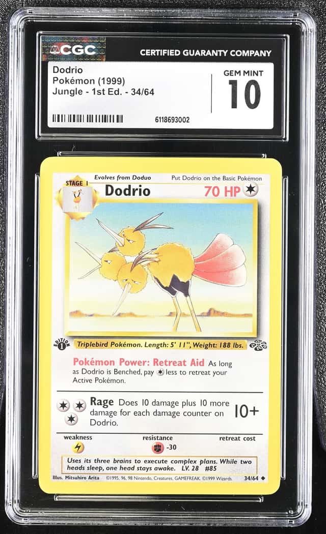Dodrio