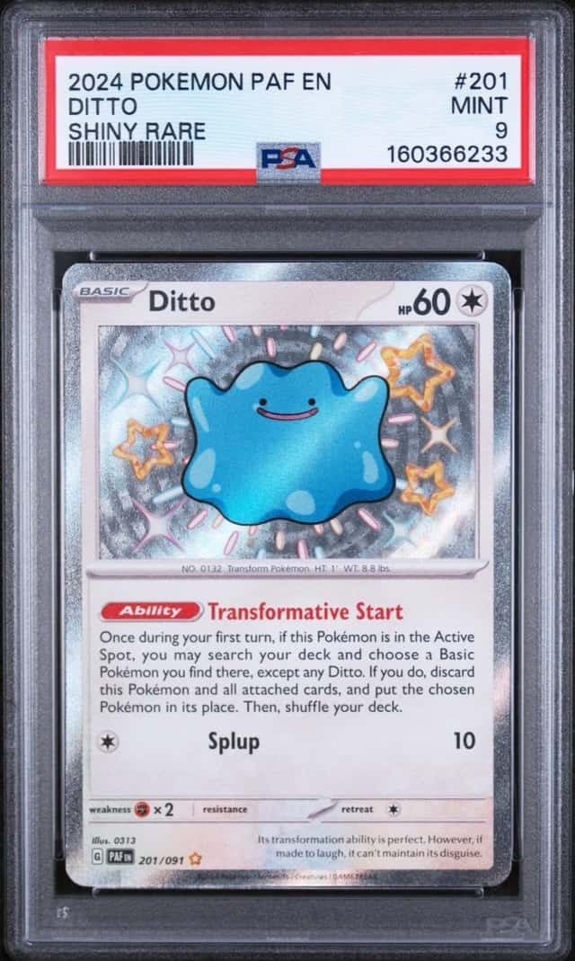 Ditto