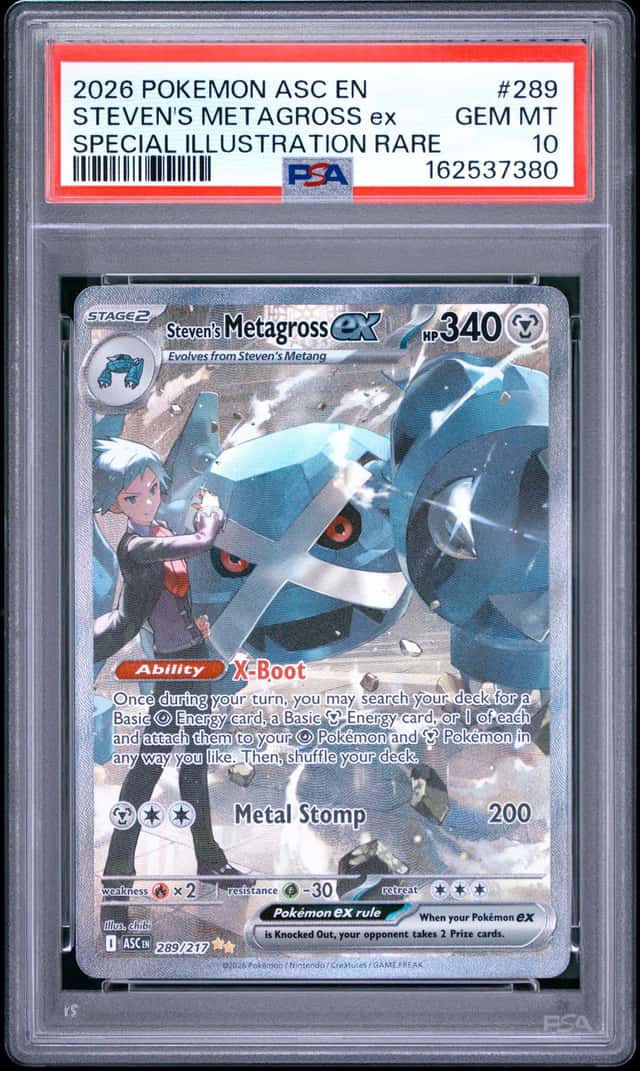 STEVEN'S METAGROSS ex