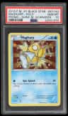 Magikarp