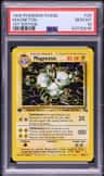 Magneton