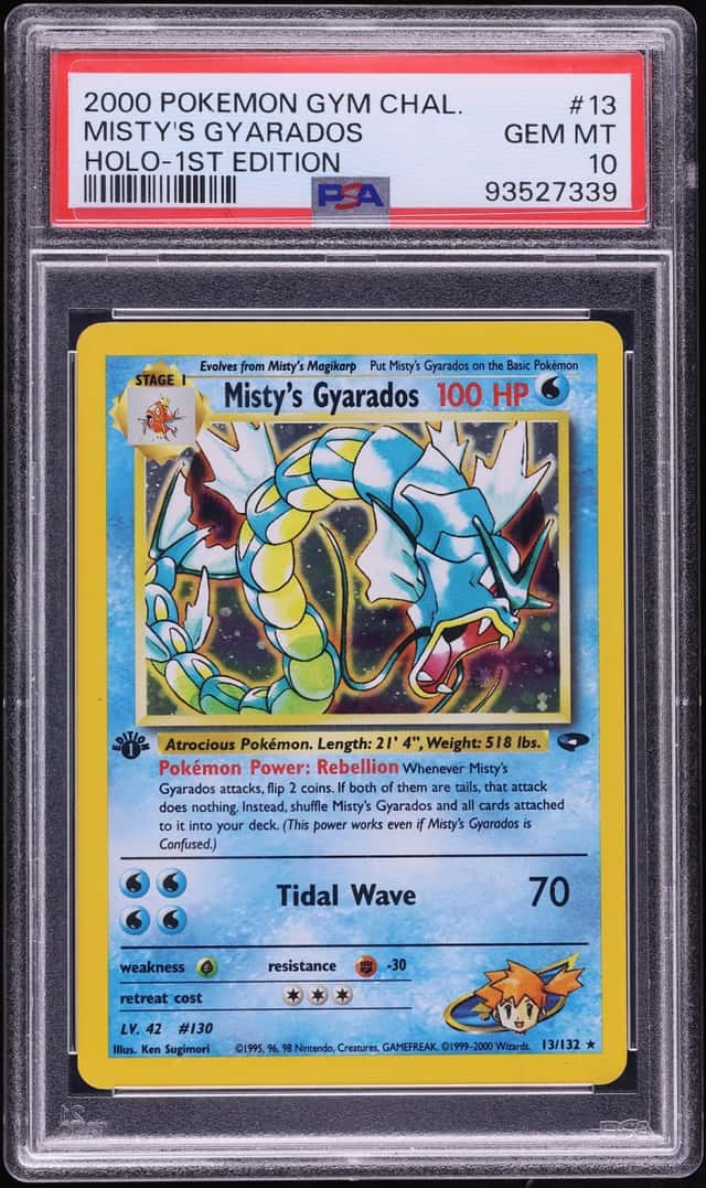Misty's Gyarados