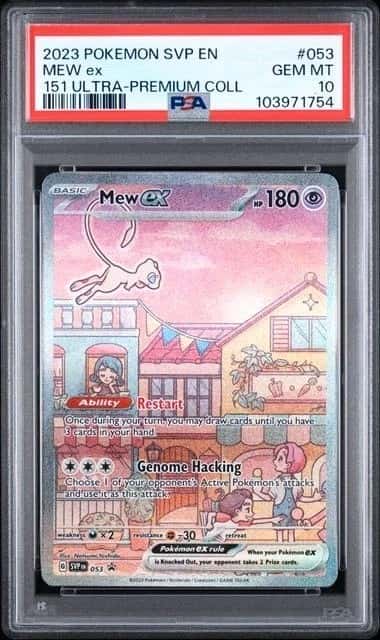 MEW ex