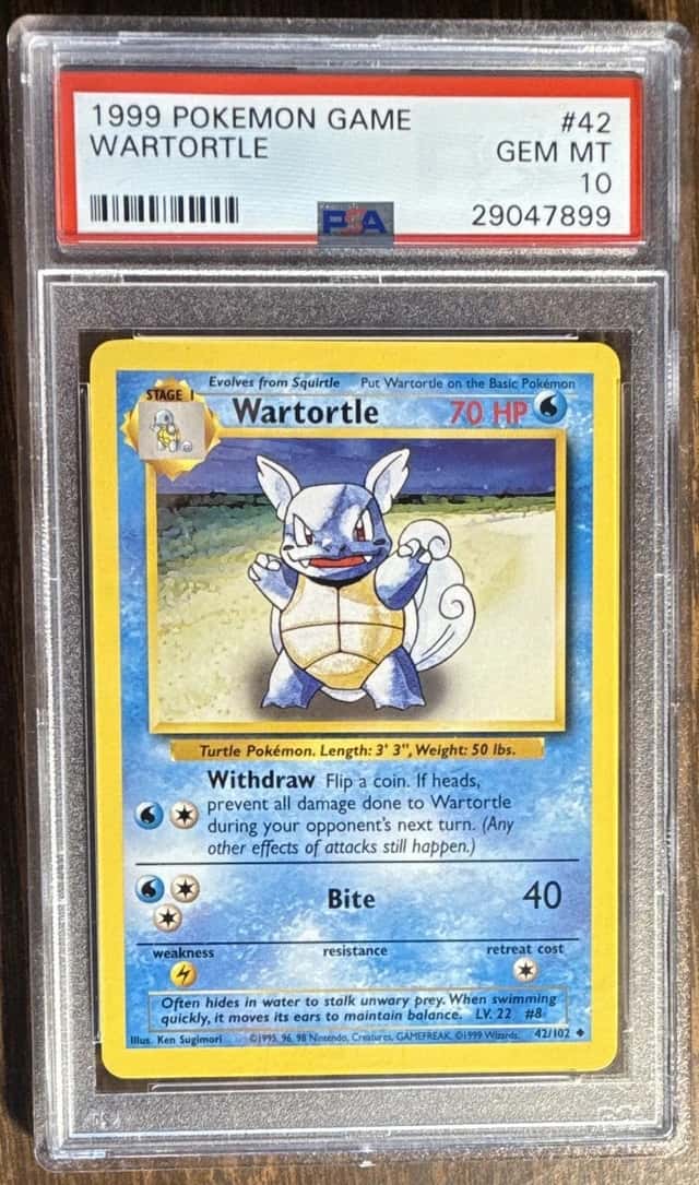 Wartortle