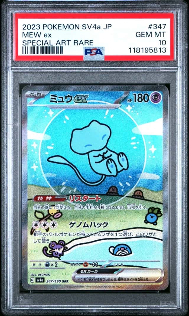 MEW ex