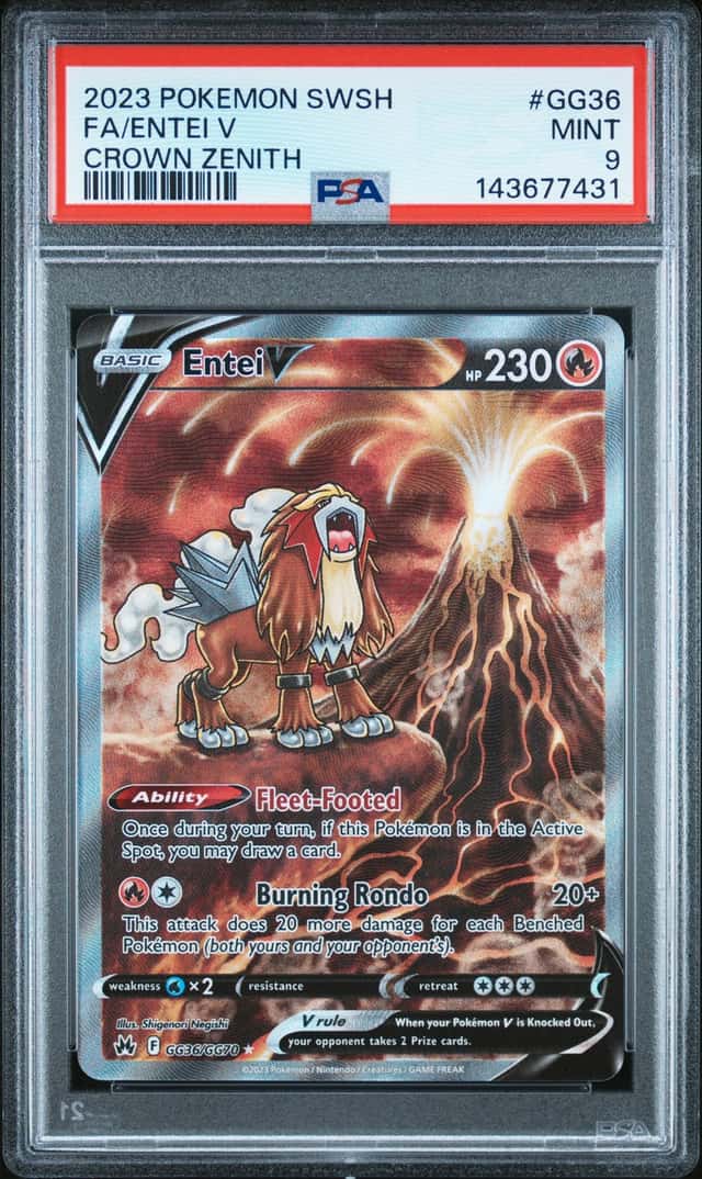 Entei V