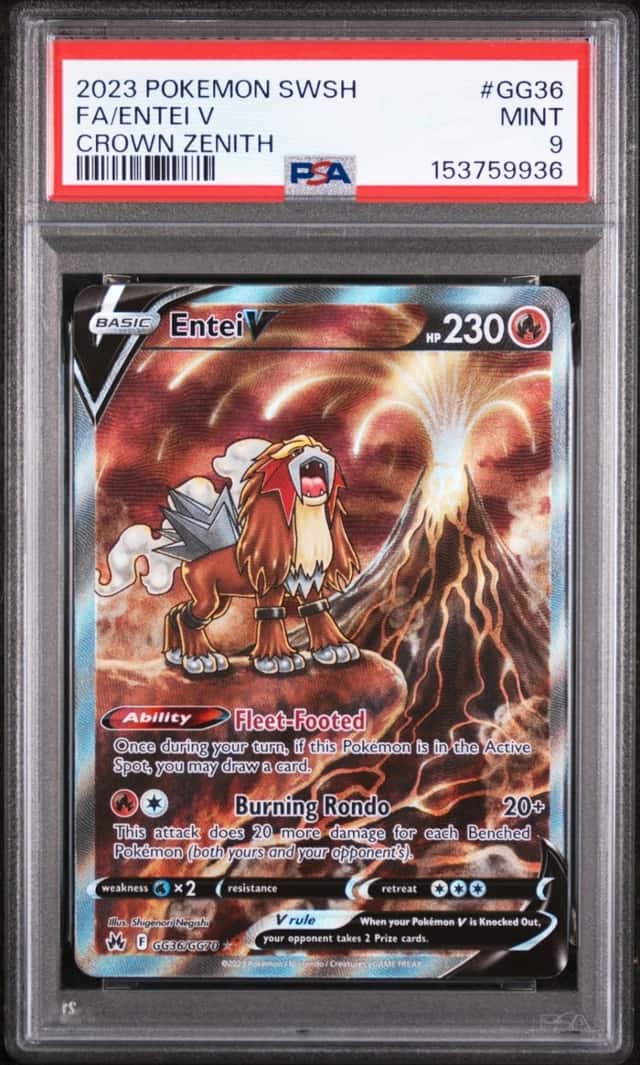Entei V