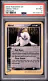 Absol