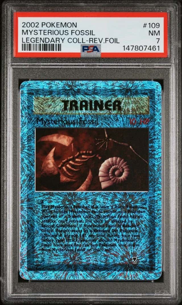 Mysterious Fossil