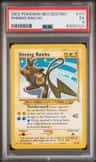 Shining Raichu