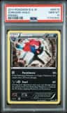 Zoroark