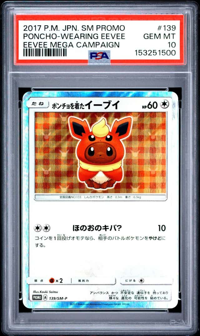 Poncho-Wearing Eevee