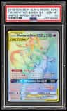 Mewtwo & Mew Gx