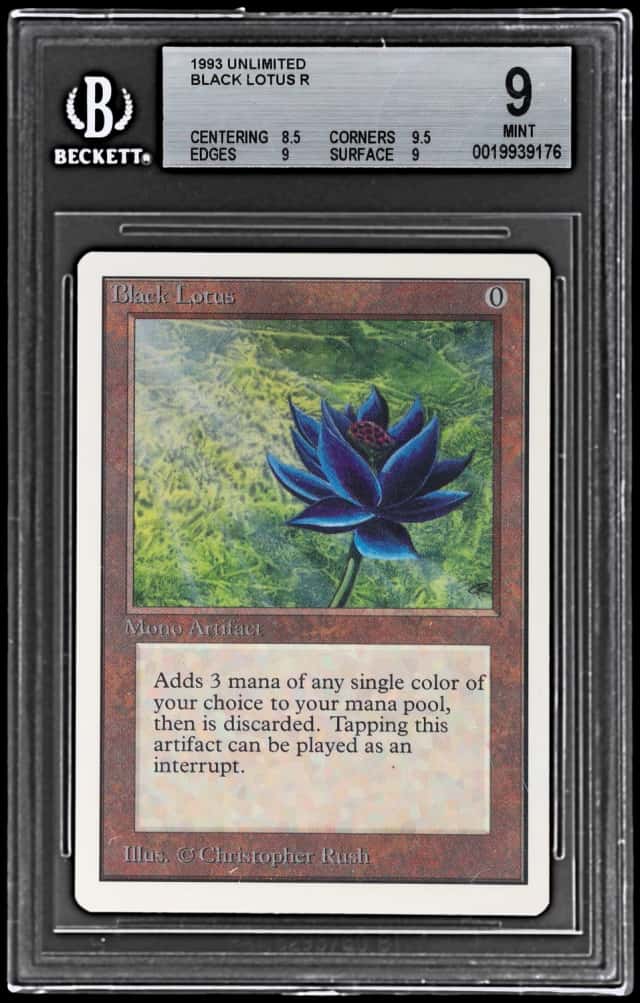 Black Lotus