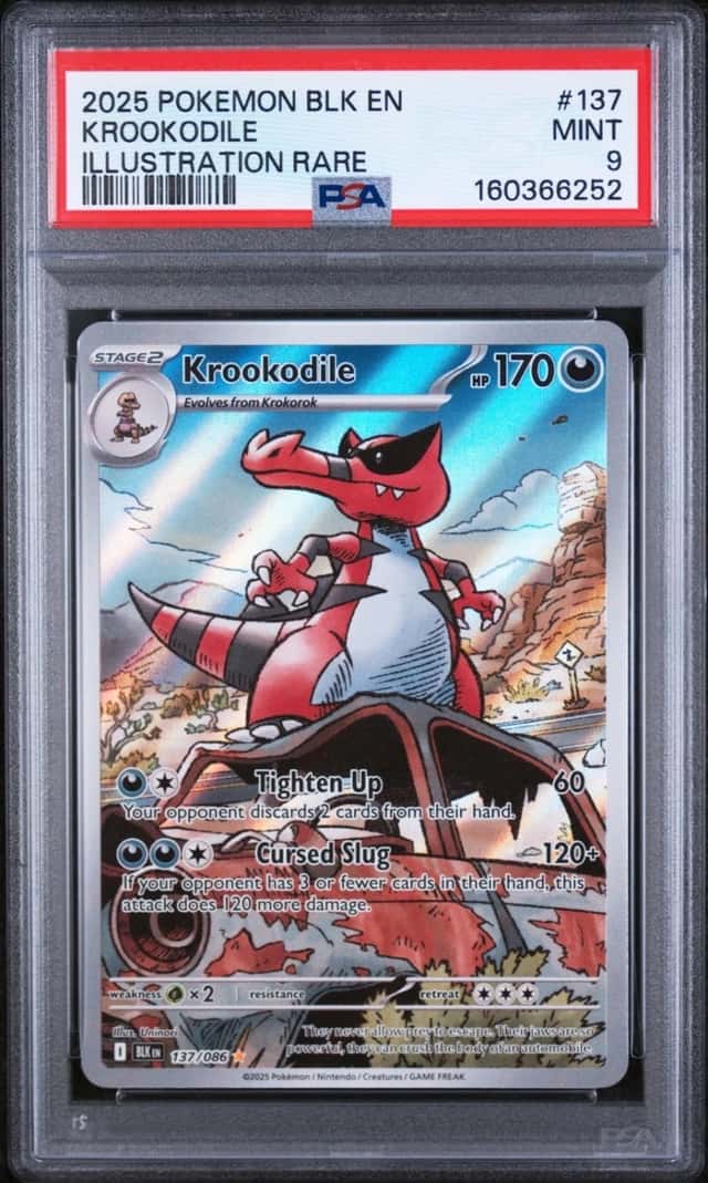 Krookodile