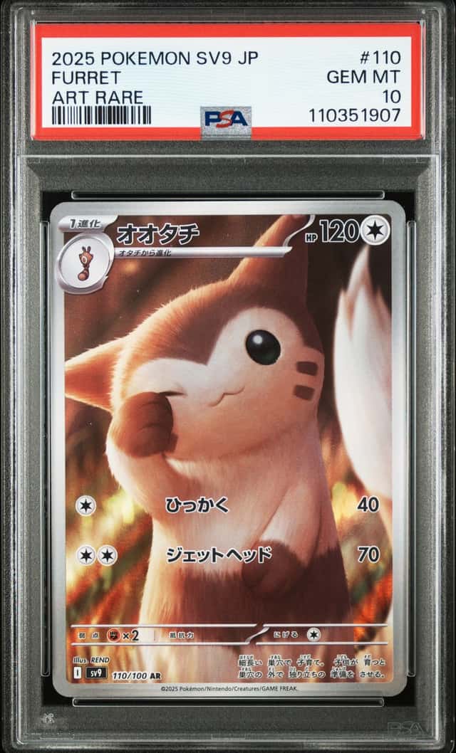 Furret