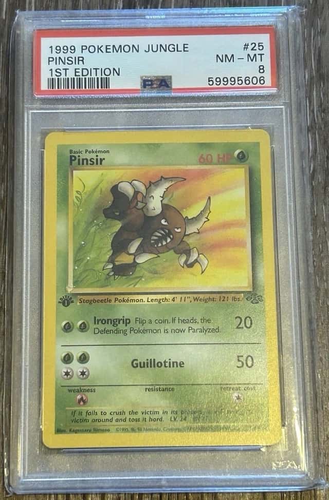 Pinsir