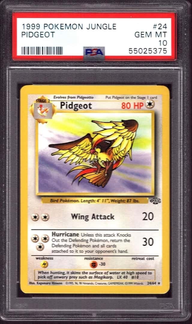 Pidgeot