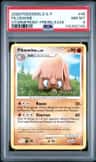 Piloswine