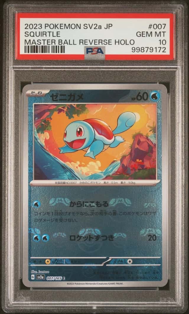 Squirtle