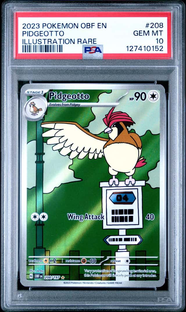 Pidgeotto