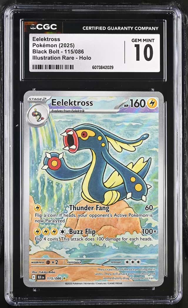 Eelektross