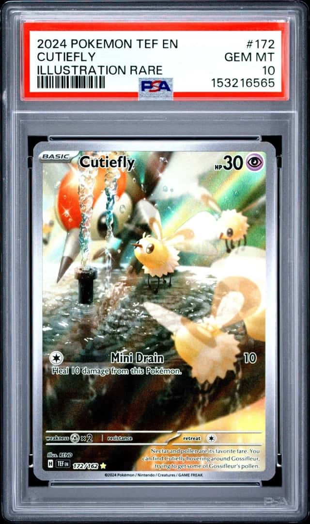 Cutiefly