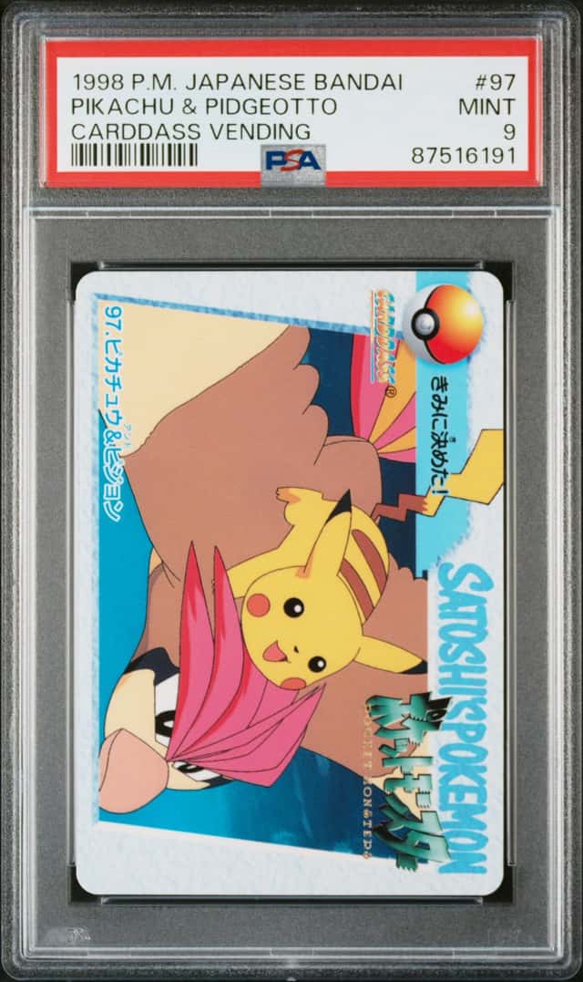 Pikachu & Pidgeotto