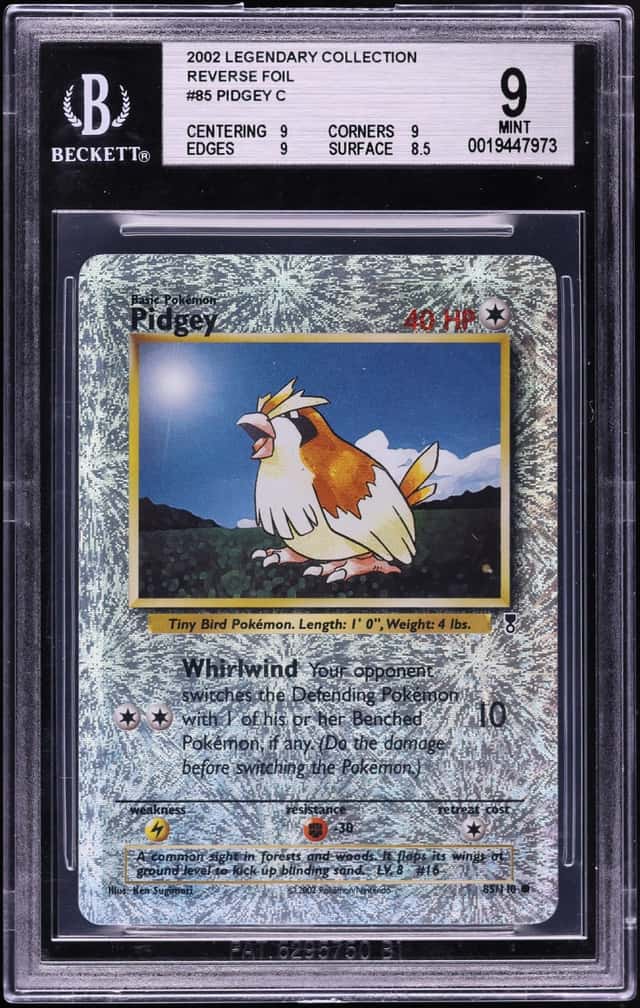 Pidgey