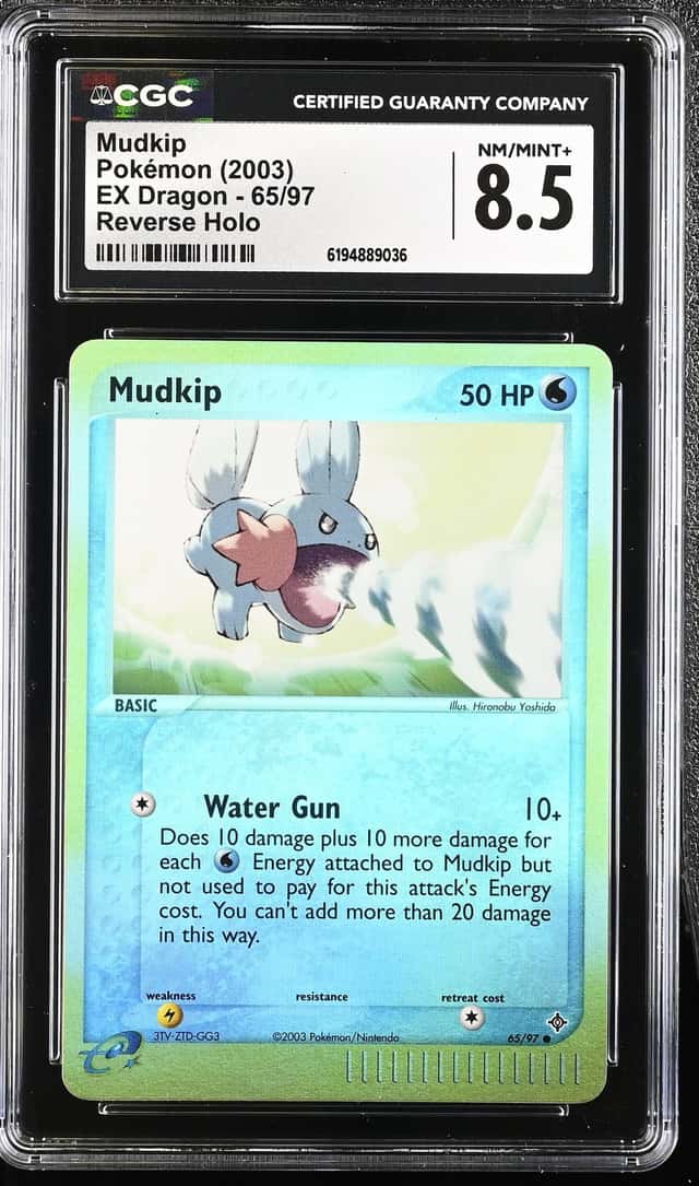 Mudkip