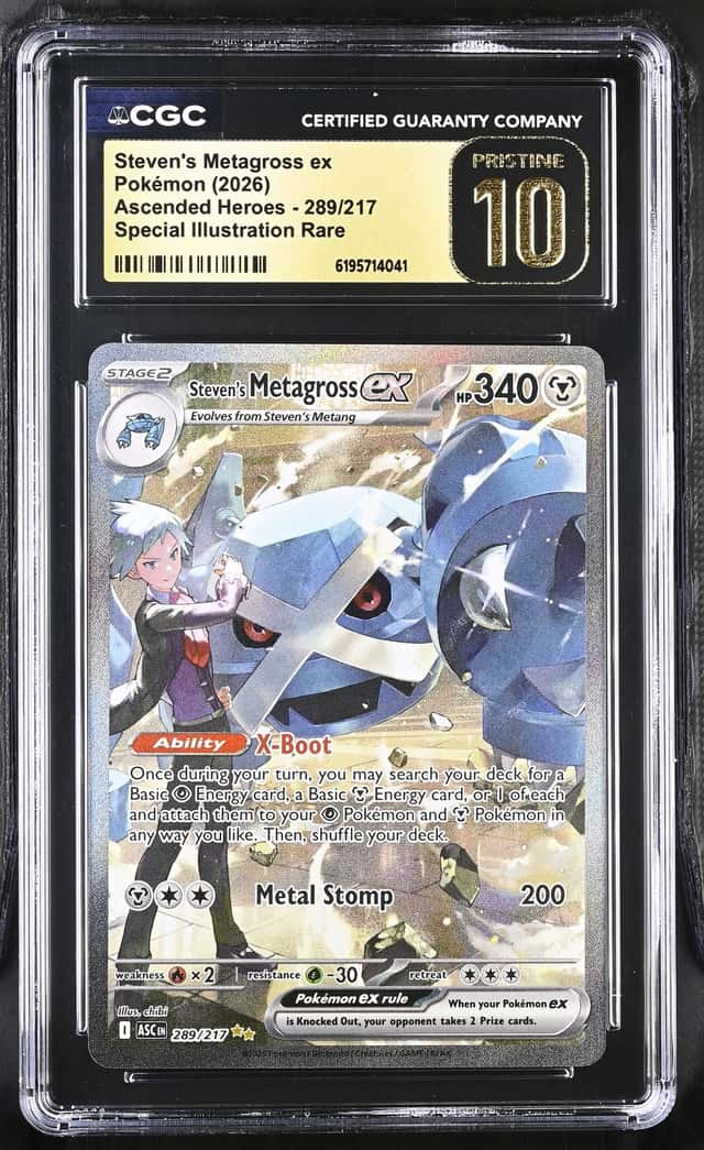 STEVEN'S METAGROSS ex