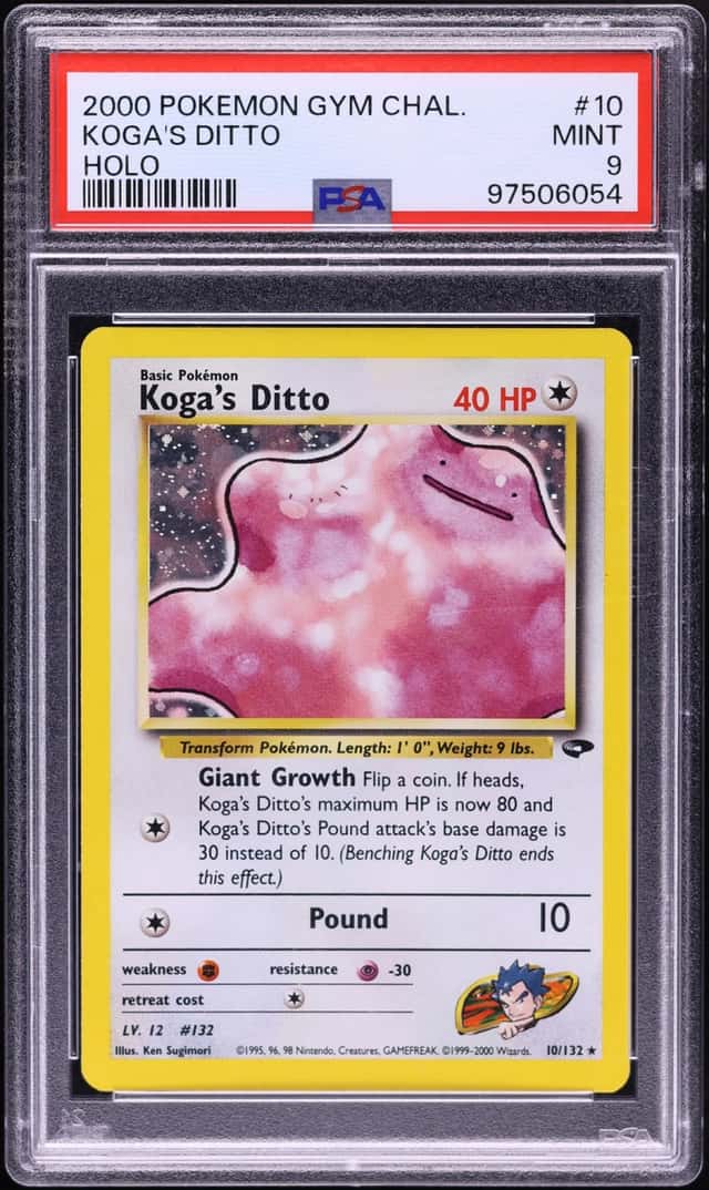 Koga's Ditto