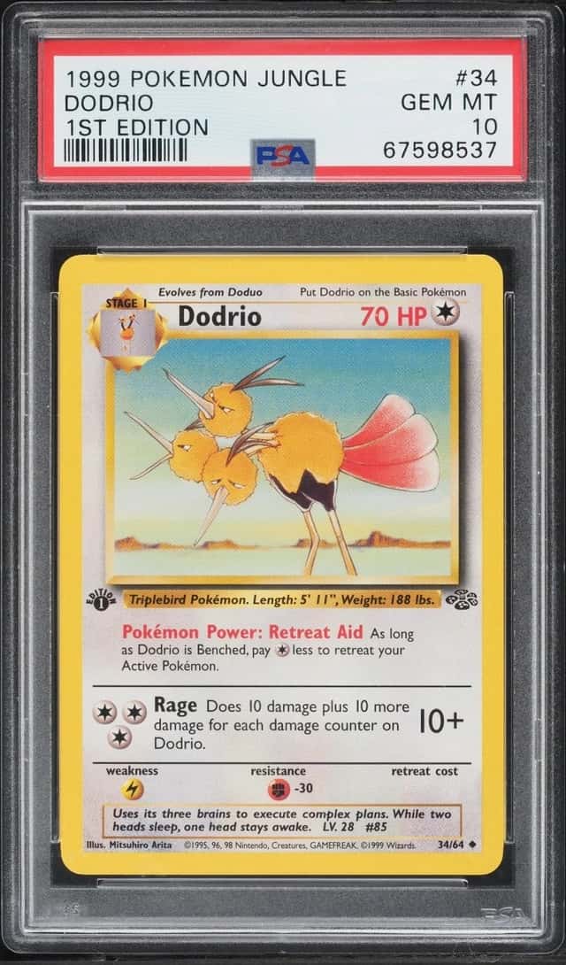 Dodrio
