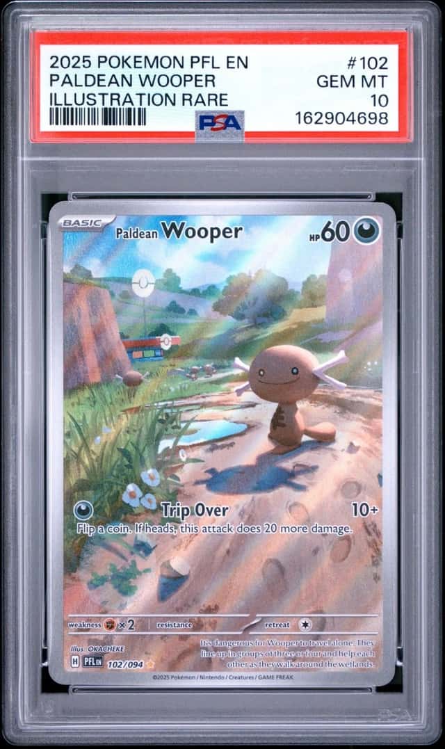 Paldean Wooper